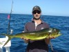 Little Dolphinfish